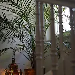 Romantic-pension Albrecht - Next To Unesco World Heritage - Since 1901